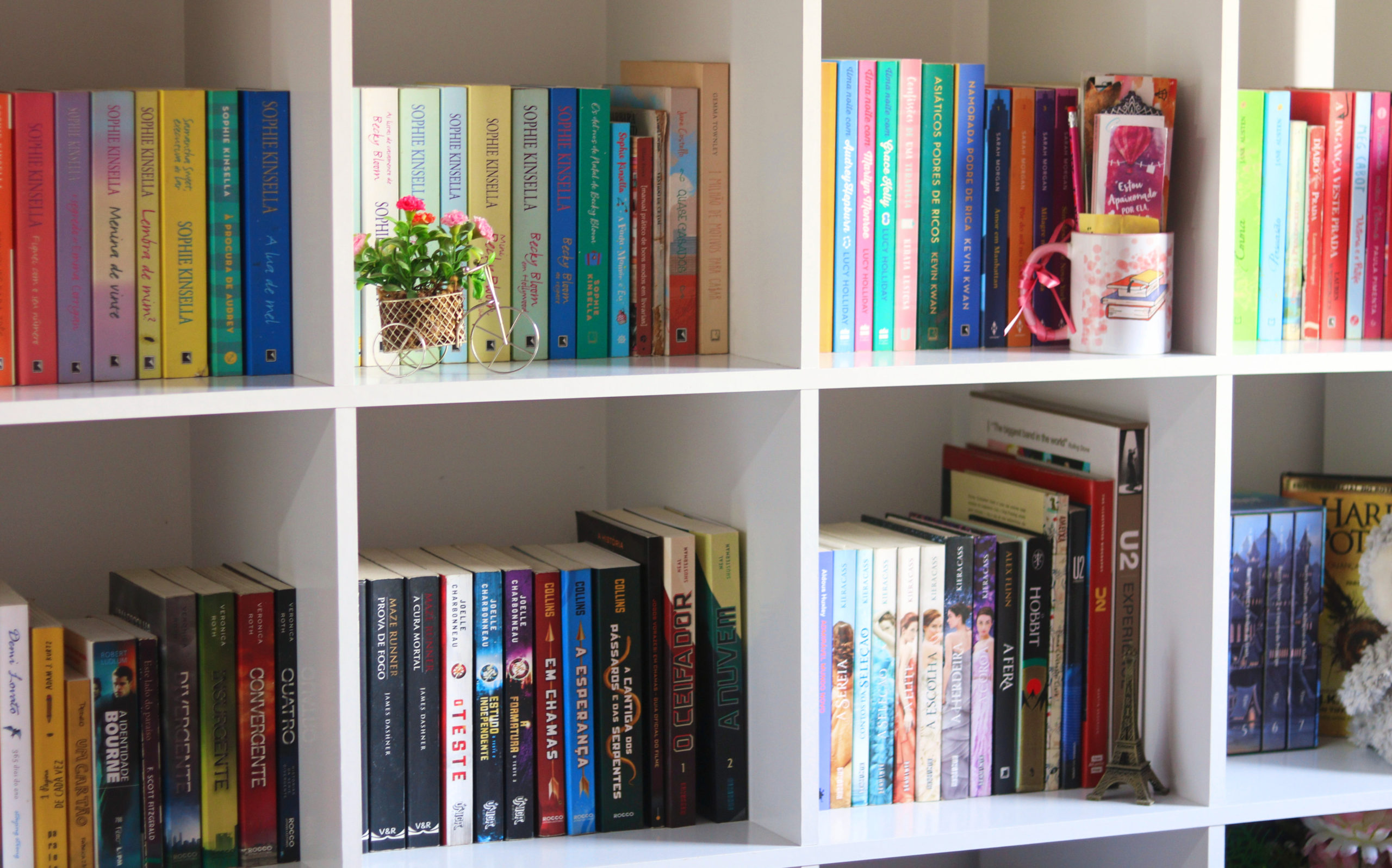 Minha estante de livros