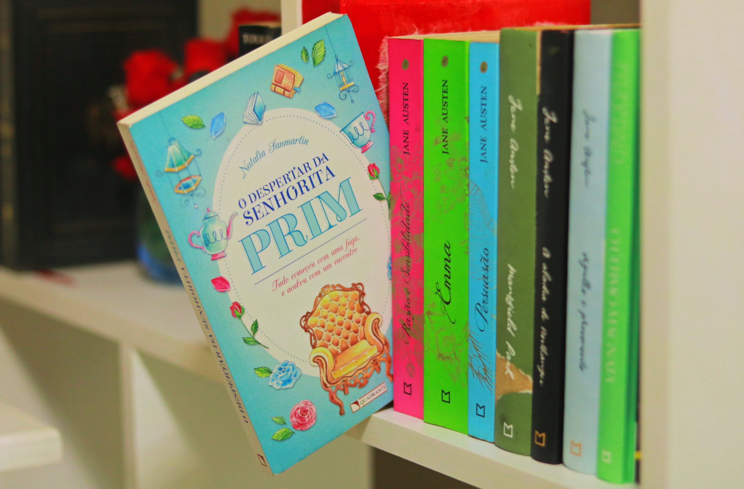 O despertar da senhorita prim livro